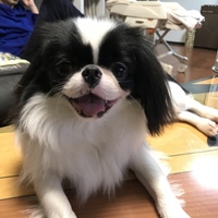 山口チャム