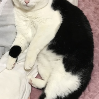 とても人馴れしています