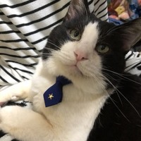 セブン