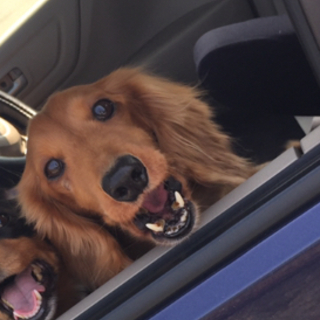 素敵な家族が出来ました！