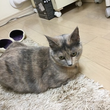 そして、拗ねる。