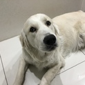 たくさんのご応募ありがとうごさいました