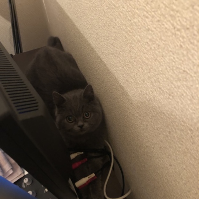ゆーやSoundのカバー写真