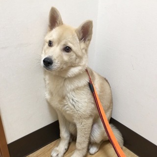 幸せにしてください★ドリーちゃん