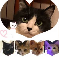 古河住宅公園ふれあい里親会 サムネイル2