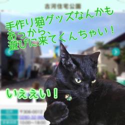 古河住宅公園ふれあい里親会 サムネイル3