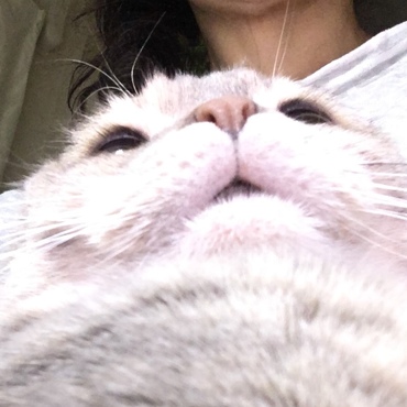 下からパシャリ(^_^)