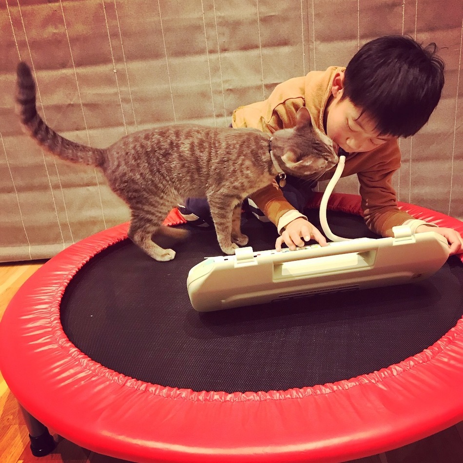 ゆずのカバー写真