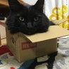 の写真