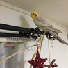 チャック✨