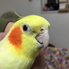 の写真