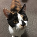 しずくちゃん