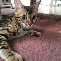 ちー