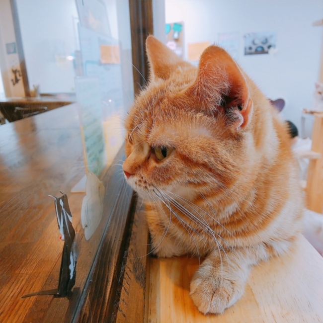 あやん.のカバー写真