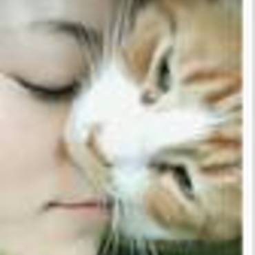 Mr.ウイグルスの写真