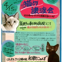 猫の譲渡会♡in 和歌山県橋本市