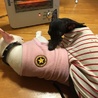  さん