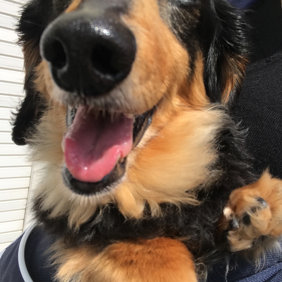 ヒチのカバー写真