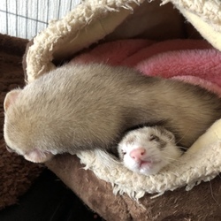 長女のろうちゃん。