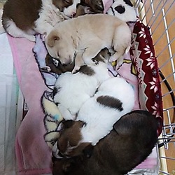 元気いっぱいに成長！！