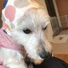 お母さんのお手製洋服