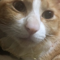 べる