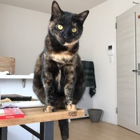 ソラ