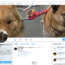 「倉敷市保健所ボランティア Team KARの活動」サムネイル3