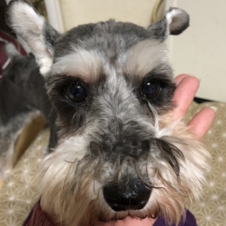 元気で甘えたな女の子♪