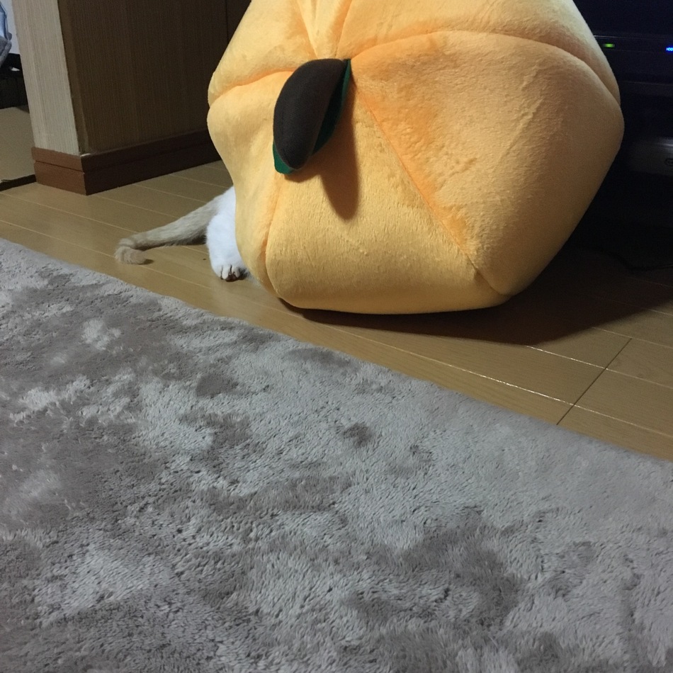 ジャックのカバー写真