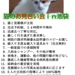 信頼度№1.猫がオーナーの「お見合い会」TV放送予定