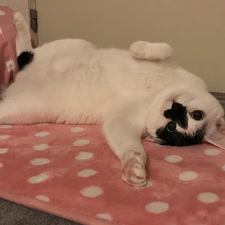 仲良し美人姉妹♪得意なシュワッチポーズ！