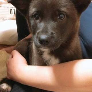 生後2カ月 女の子