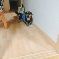 クッキー