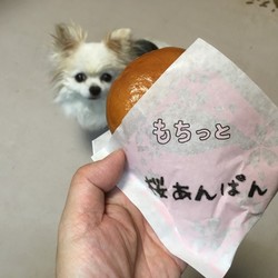 「号泣してないからかな」サムネイル2