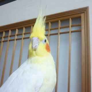 ご応募いただきました方々ありがとうございました。