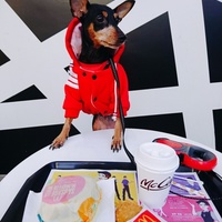 ヴィヴィアンヌ