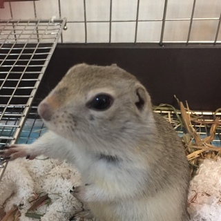 応募者多数のため一旦終了させていただきます