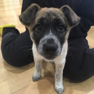 生後3か月 女の子 ミックス