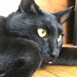 力の強い子です笑