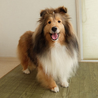 良いご縁に恵まれました