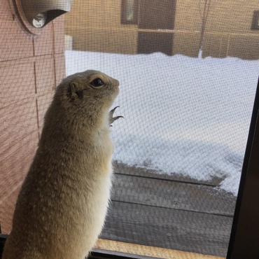 雪、初めて見たなあ