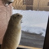 雪、初めて見たなあ