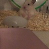里子に頂きました。ありがとうございました。