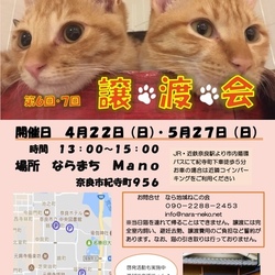 第7回なら地域ねこの会 譲渡会 サムネイル1