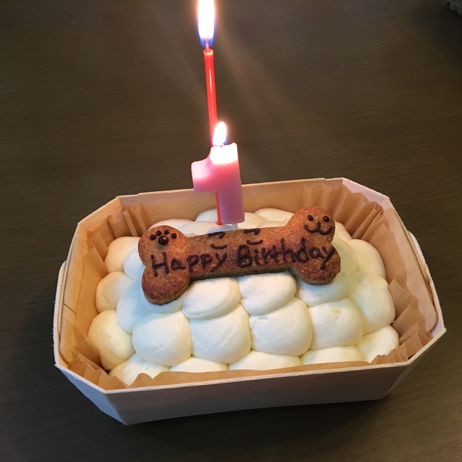 ここのカバー写真