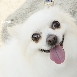 良いご縁に繋がりました。