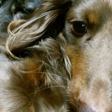 ＡＭＧ (ｴｰ･ｴﾑ･ｼﾞｰ)の写真