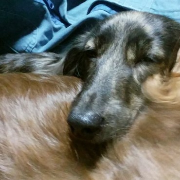 にぃにぃの背中で爆睡