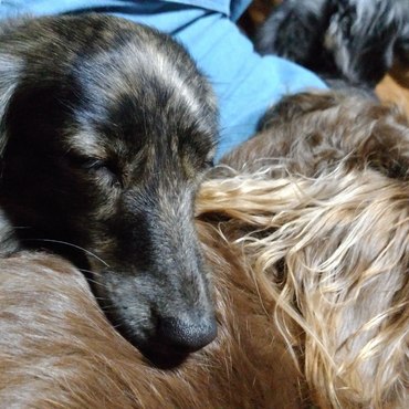 にぃにぃの背中で爆睡